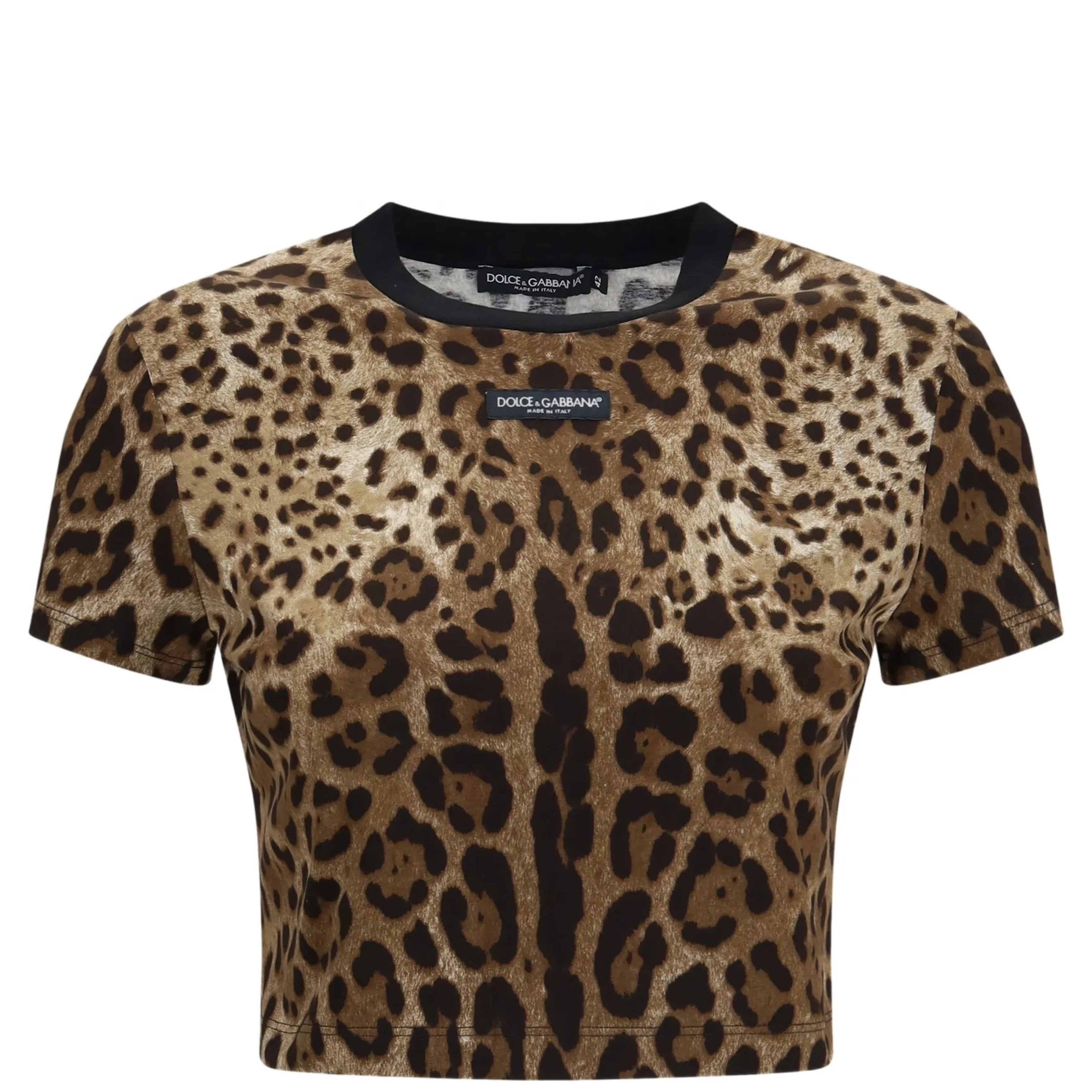 Dolce & Gabbana T-shirts and Polos