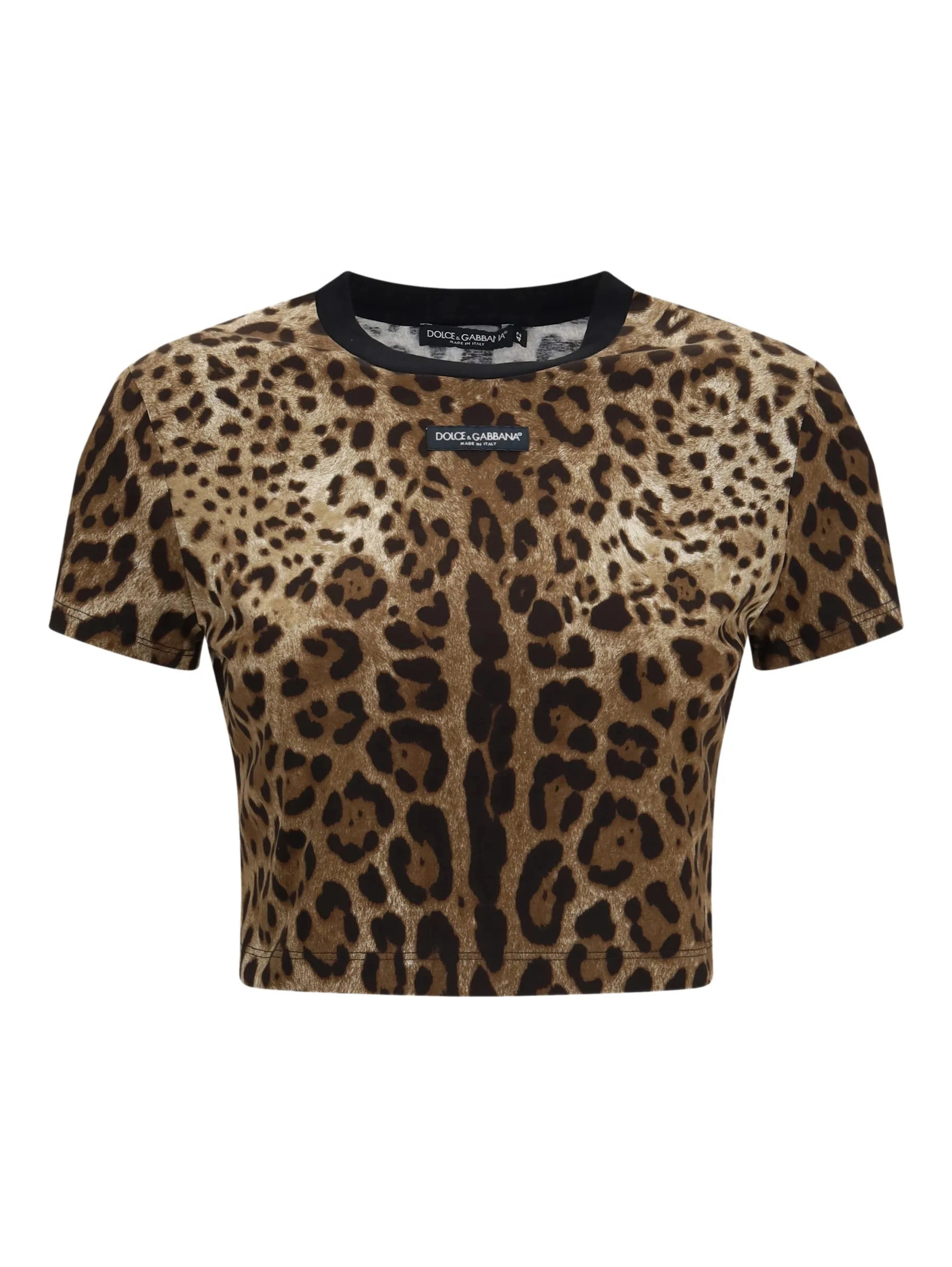 Dolce & Gabbana T-shirts and Polos