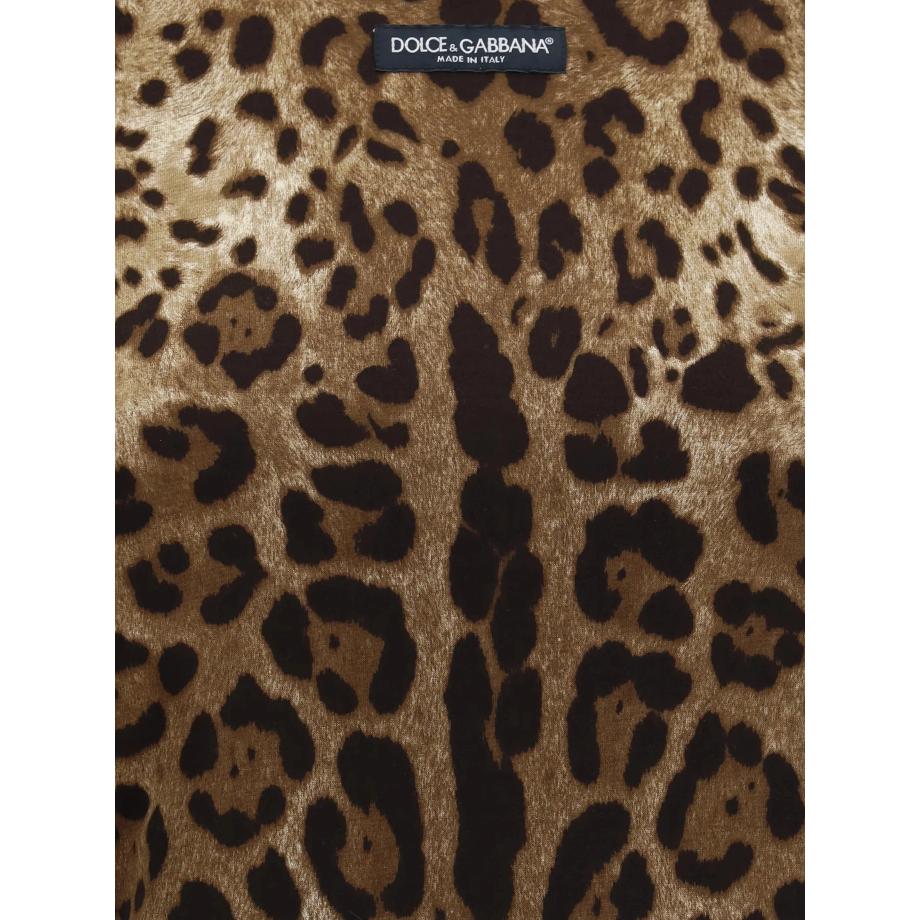 Dolce & Gabbana T-shirts and Polos