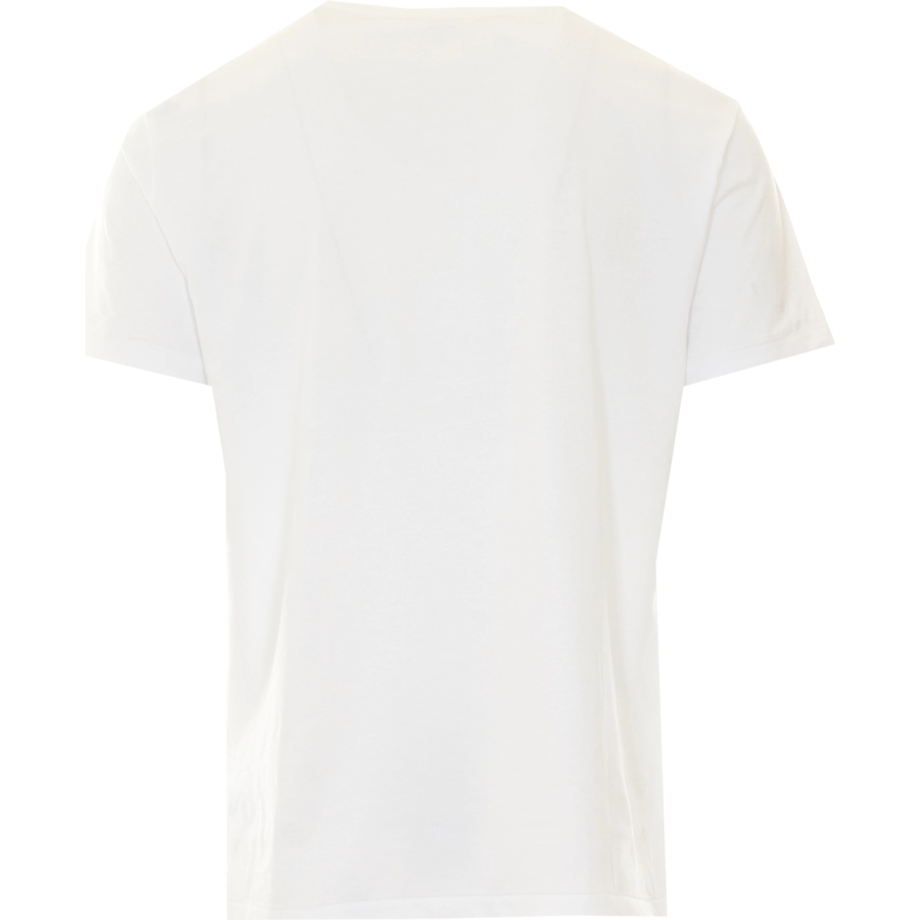 POLO RALPH LAUREN T-shirts and Polos