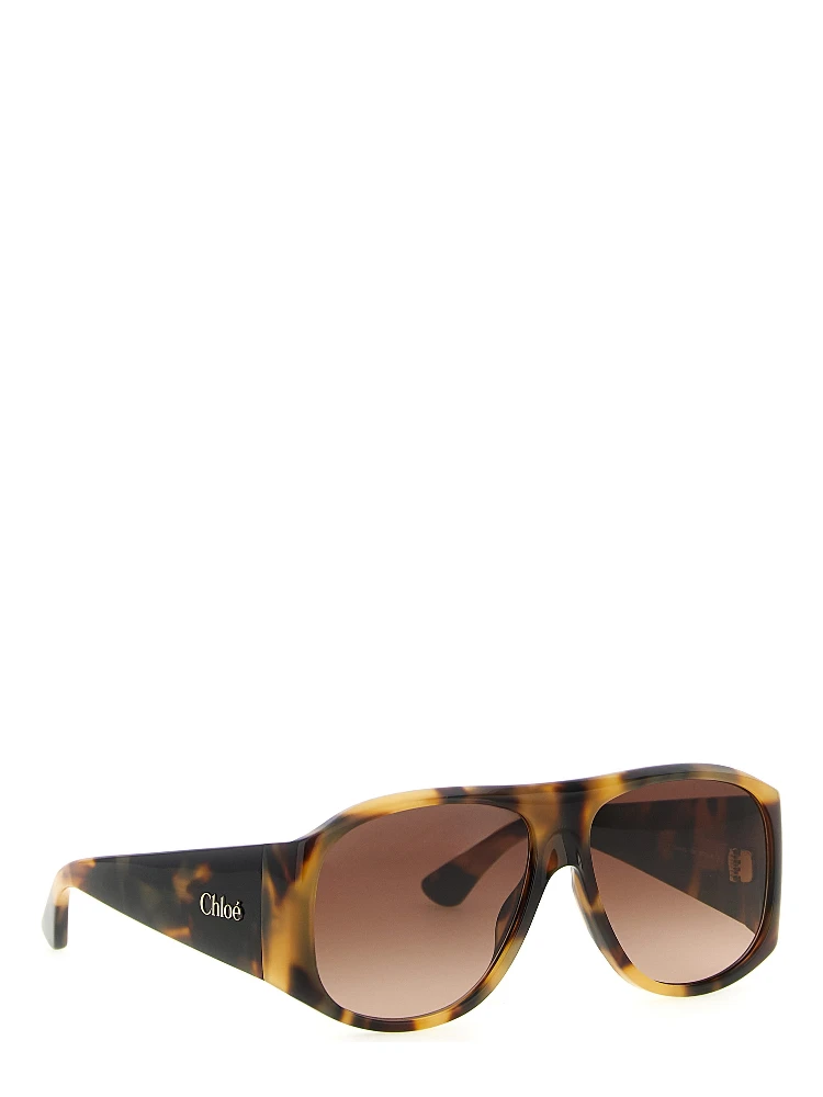 Brown Acetate Sunglasses alternative