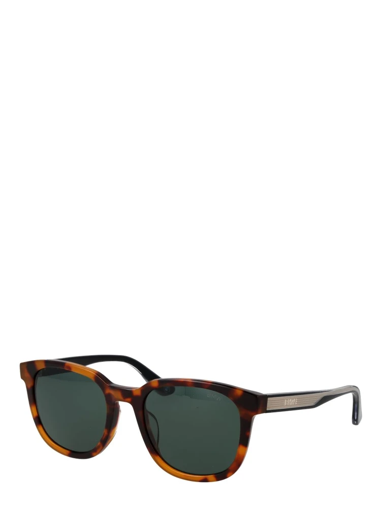 Brown Acetate Sunglasses