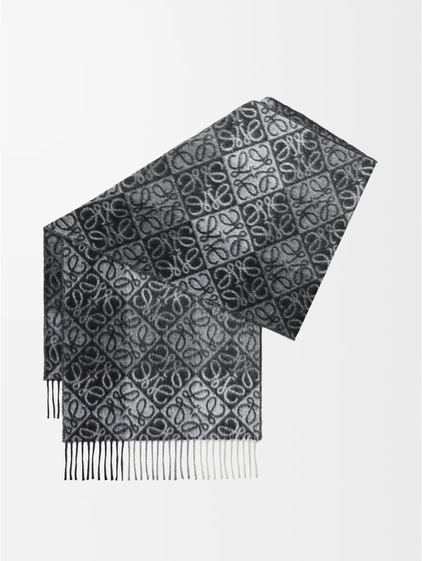 LOEWE scarf