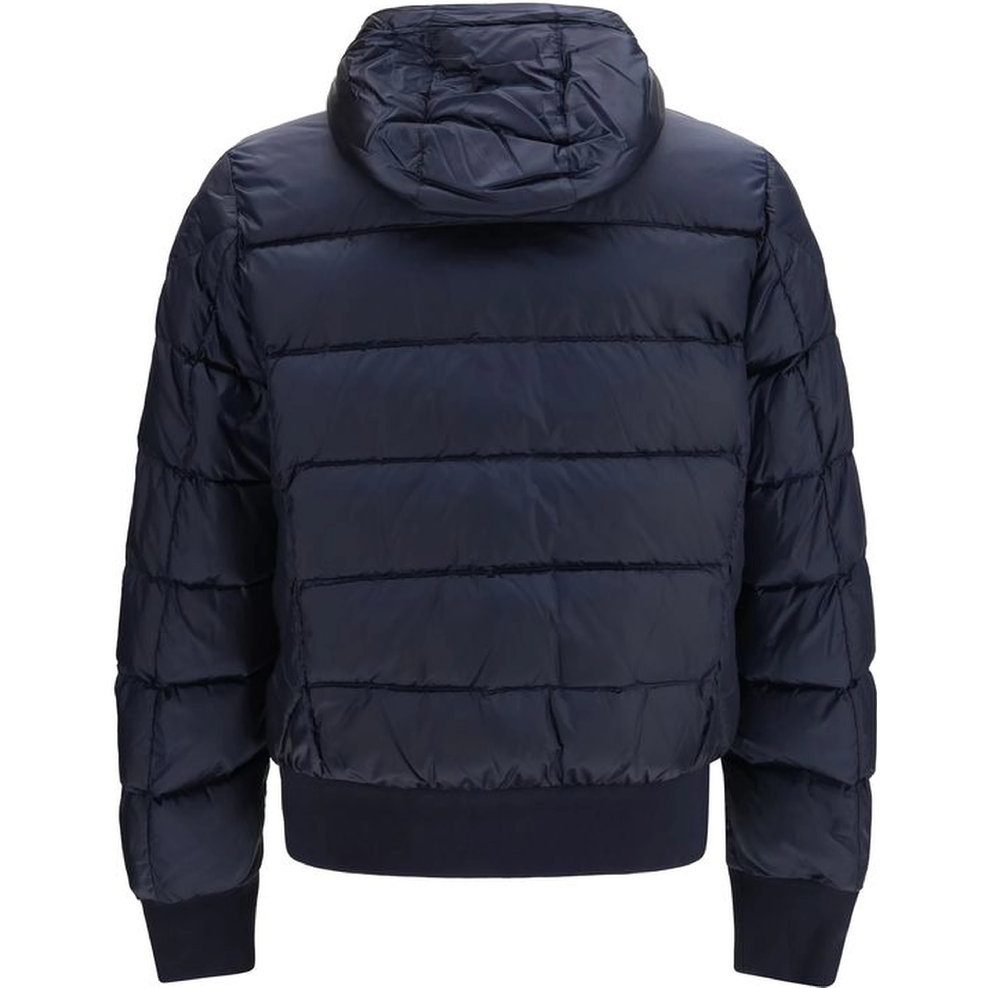 Blue Goose Down Full-Length Jacket