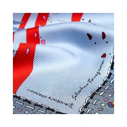 Ferragamo Scarfs Blue