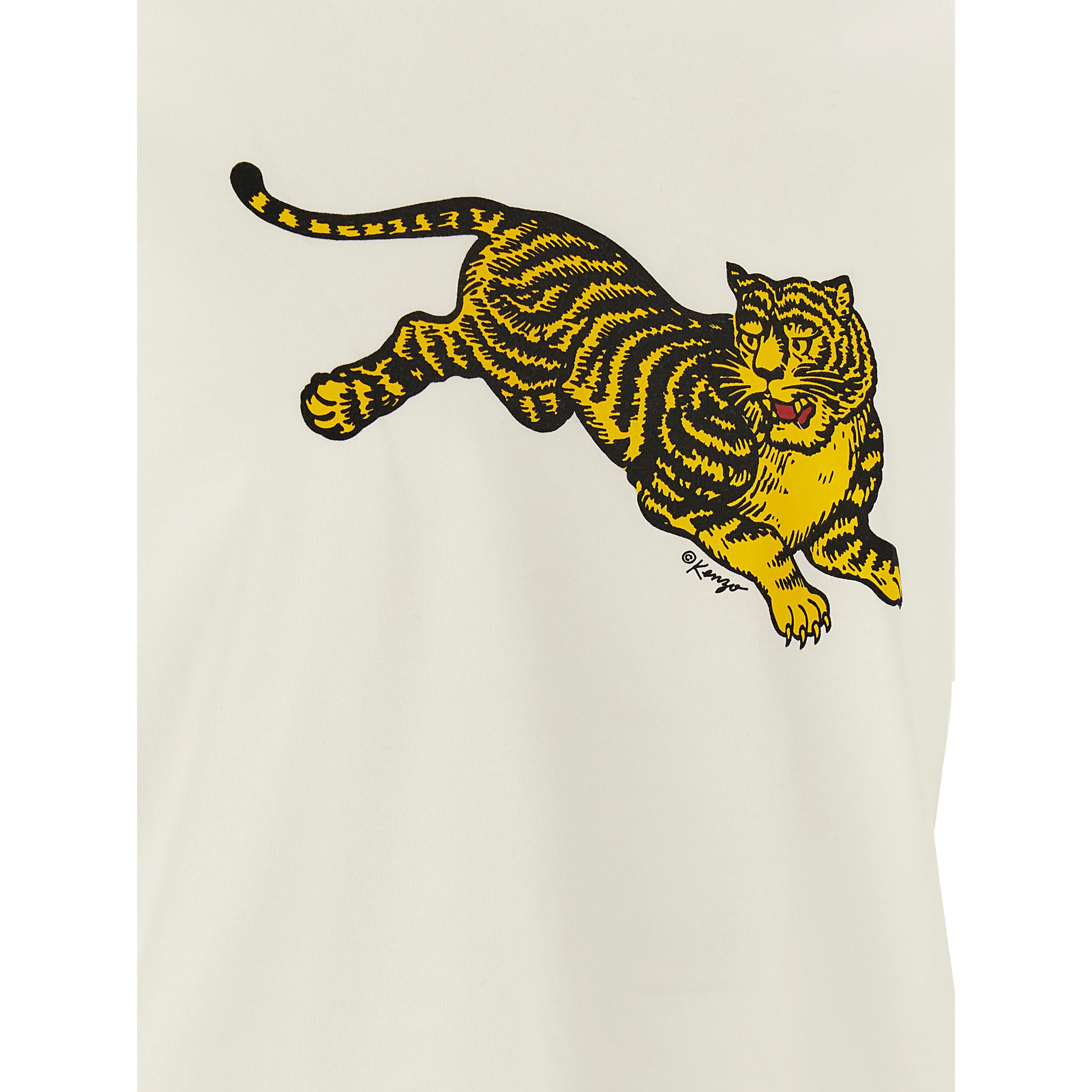 White Cotton T-Shirt