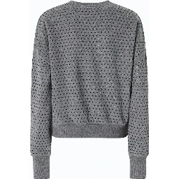 PINKO MONKS sweatshirt