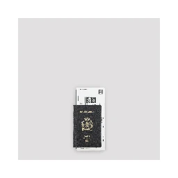 Balenciaga Passport Long Wallet