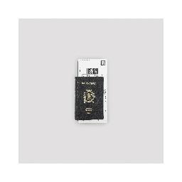 Balenciaga Passport Long Wallet