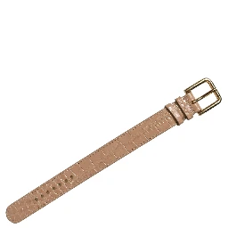 Brown Embossed Leather Gold Buckle Belt Strap Bracelet