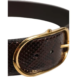 Brown Python Leather Gold Metal Buckle Belt