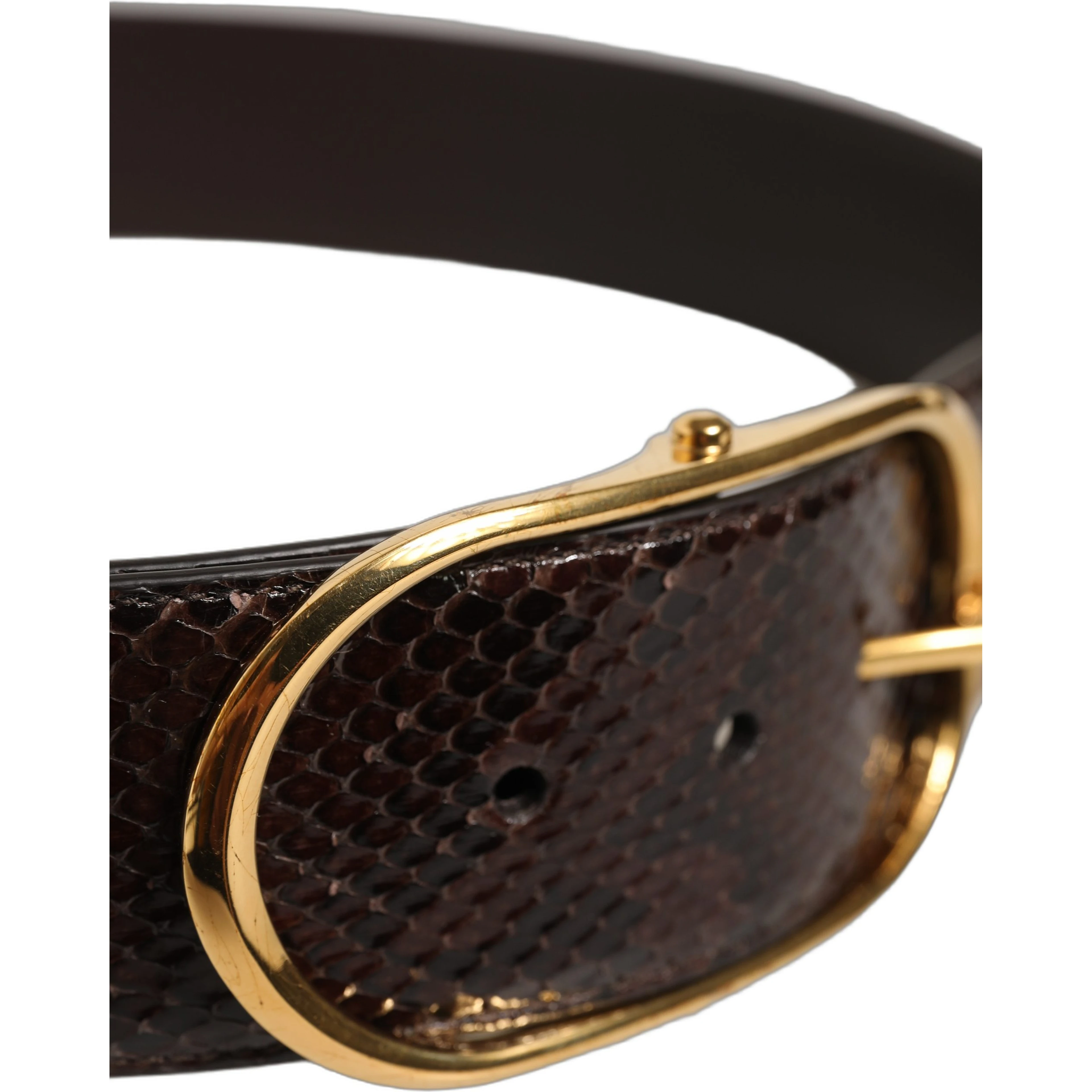 Brown Python Leather Gold Metal Buckle Belt