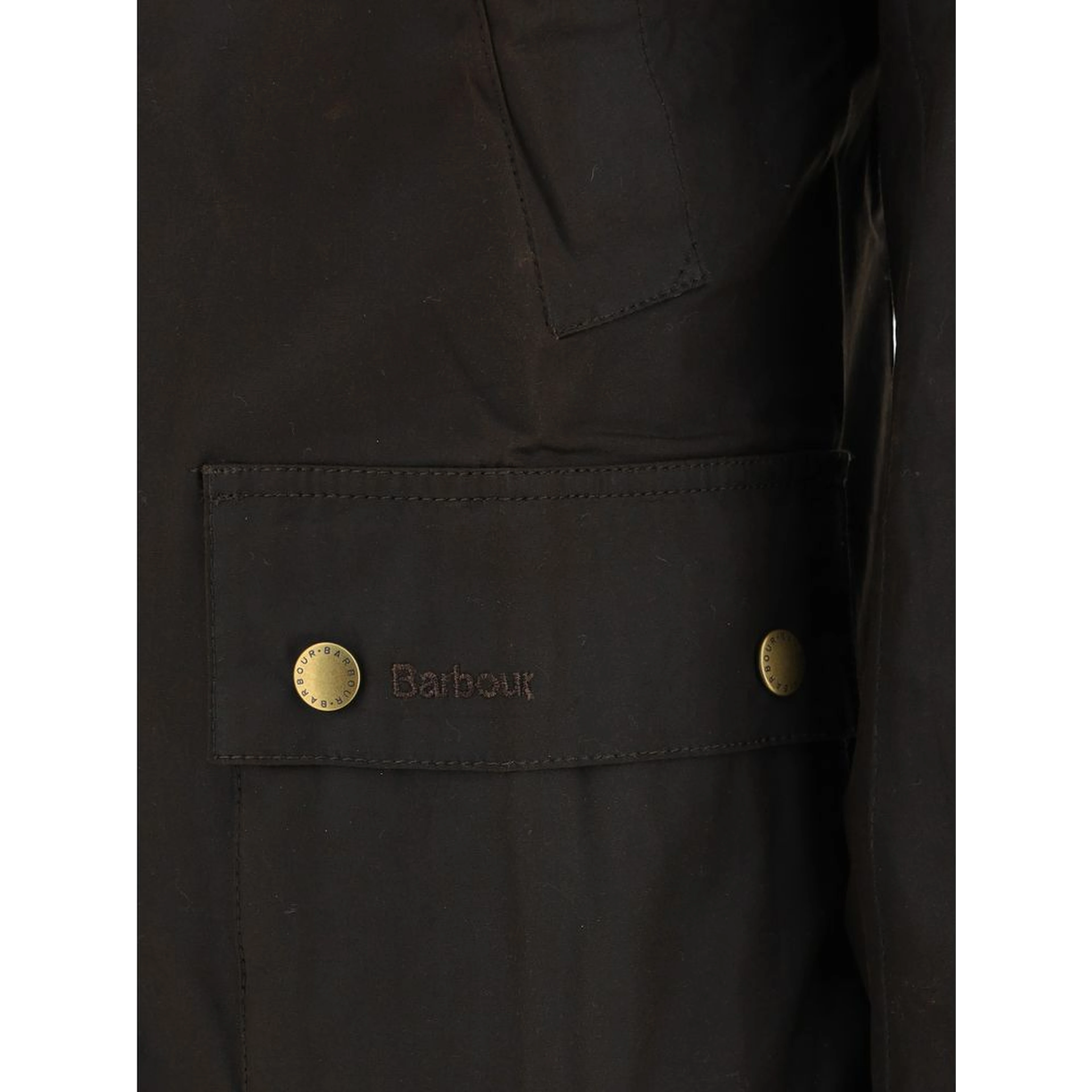 Bicolor Cotton Coat