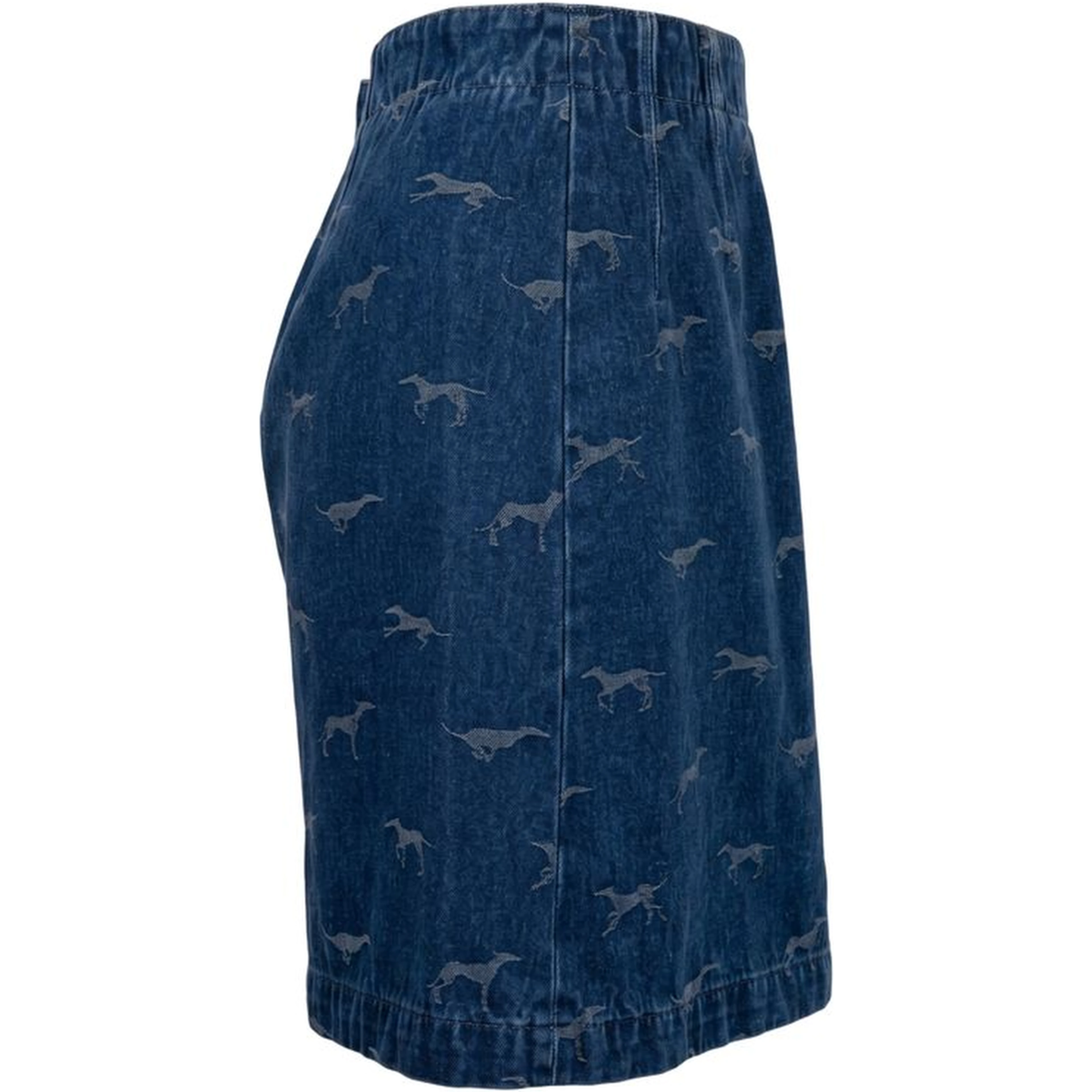 Blue Cotton Women Skirt