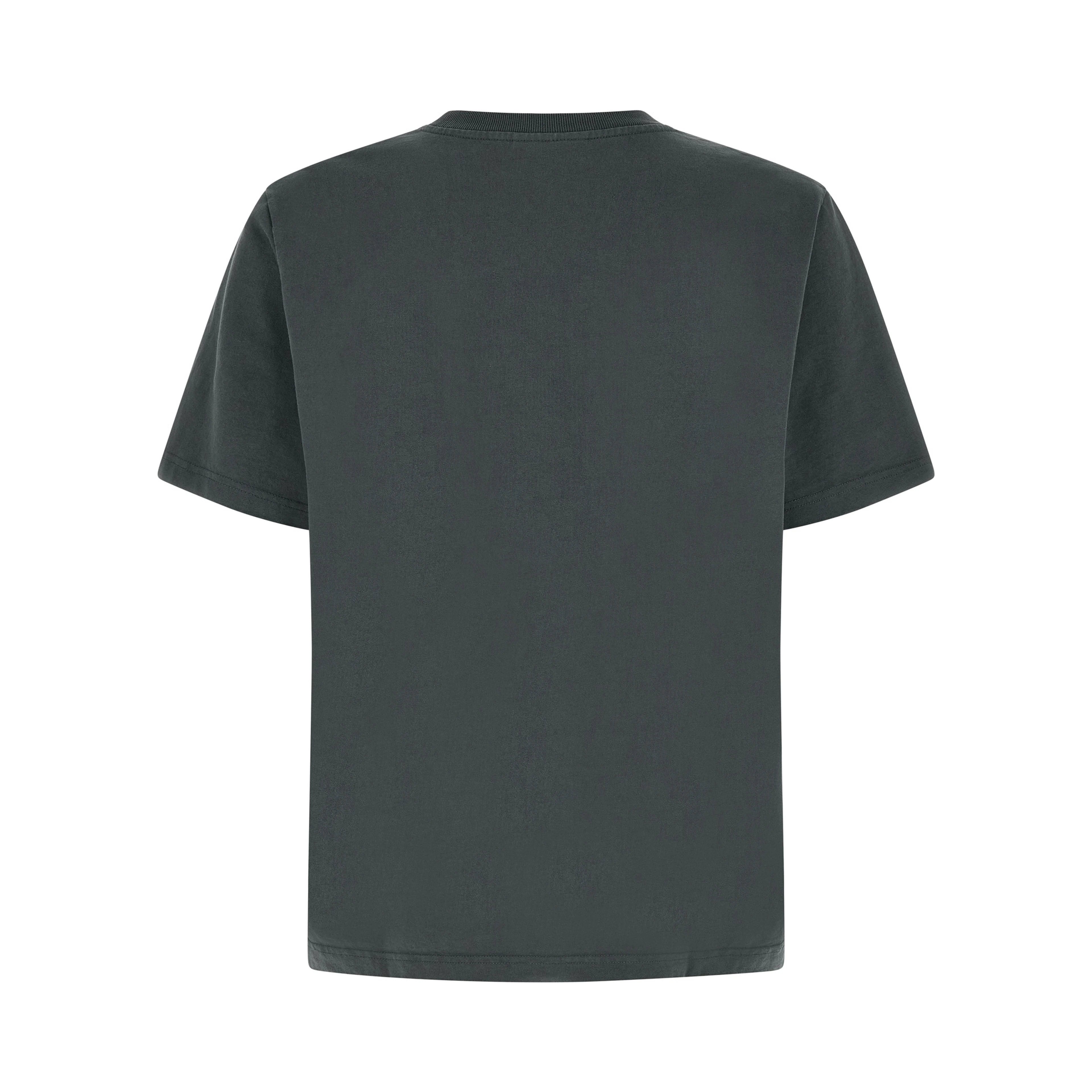 Blue Organic Cotton T-Shirt