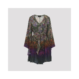Etro Mini Dress
