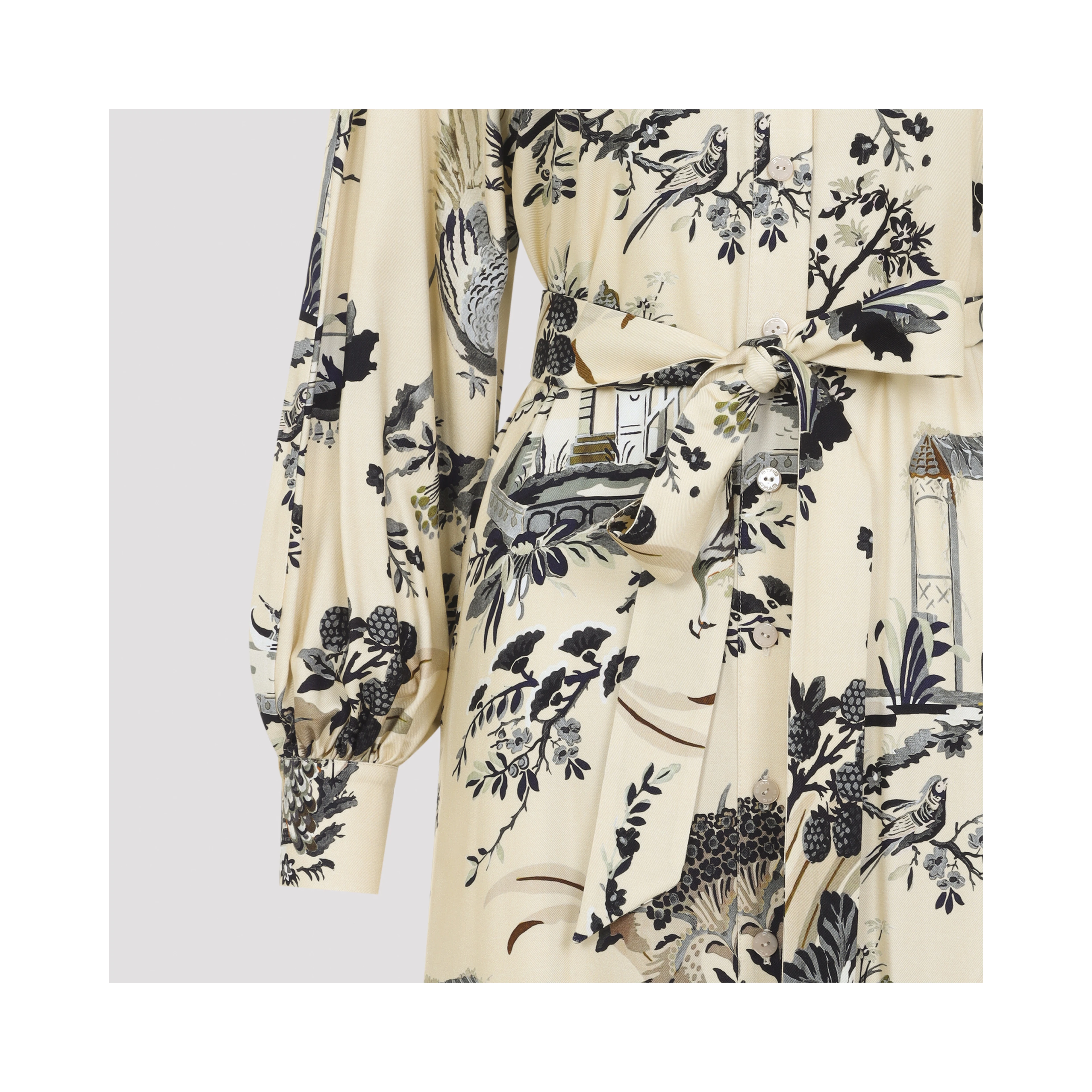 Etro Midi Dress