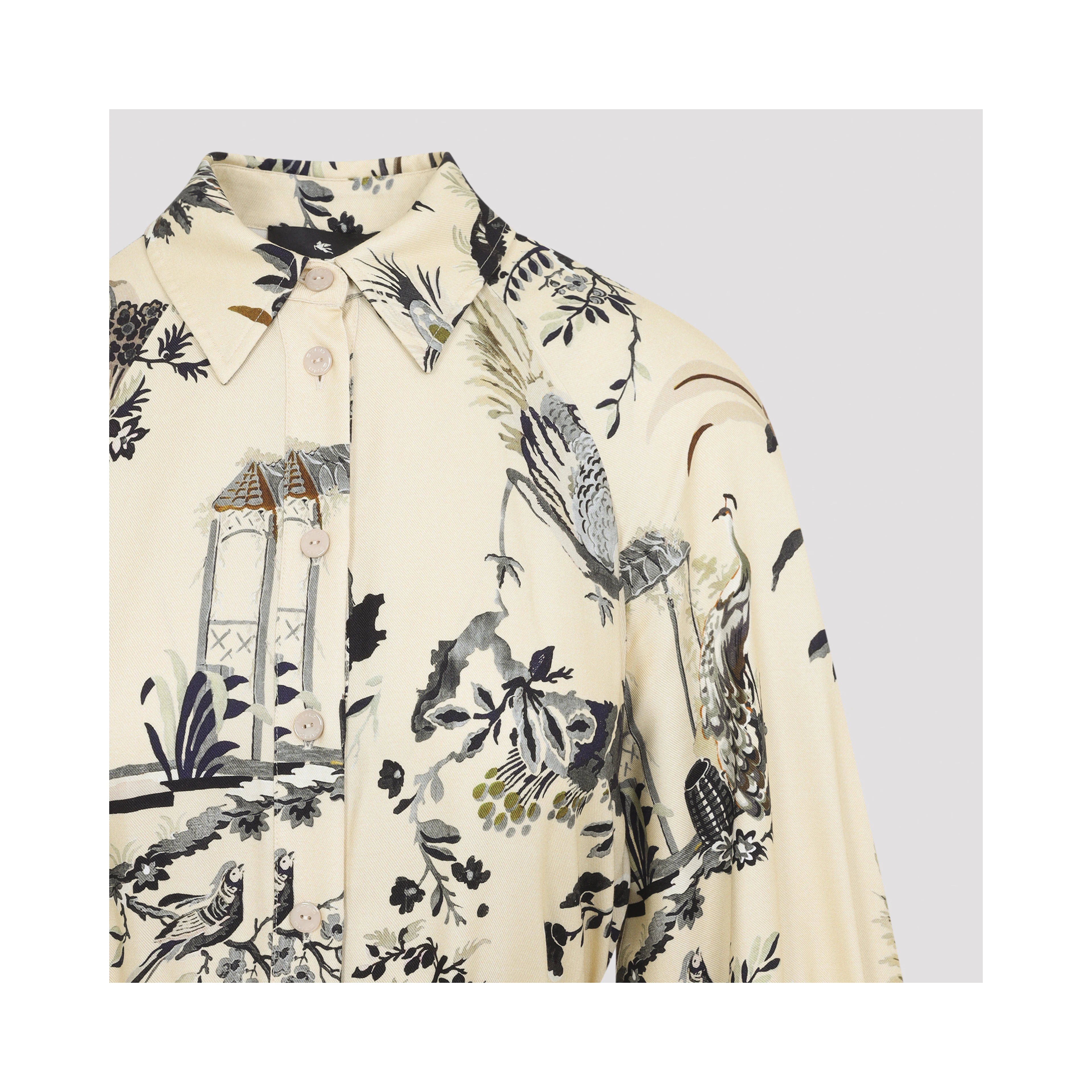 Etro Midi Dress