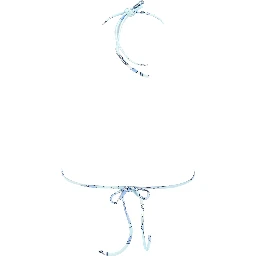 TOP BIKINI CON STAMPA