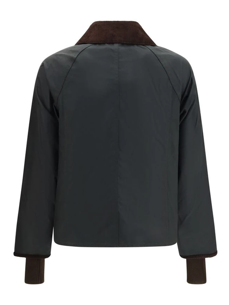 Bicolor Cotton Shell Jacket alternative