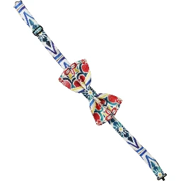 Men Multicolor Majolica Adjustable Neck Papillon Bow Tie