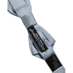 Men Light Blue Silk Adjustable Neck Papillon Bow Tie