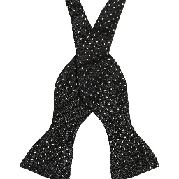 Black White Polka Dot Adjustable Neck Papillon Bow Tie