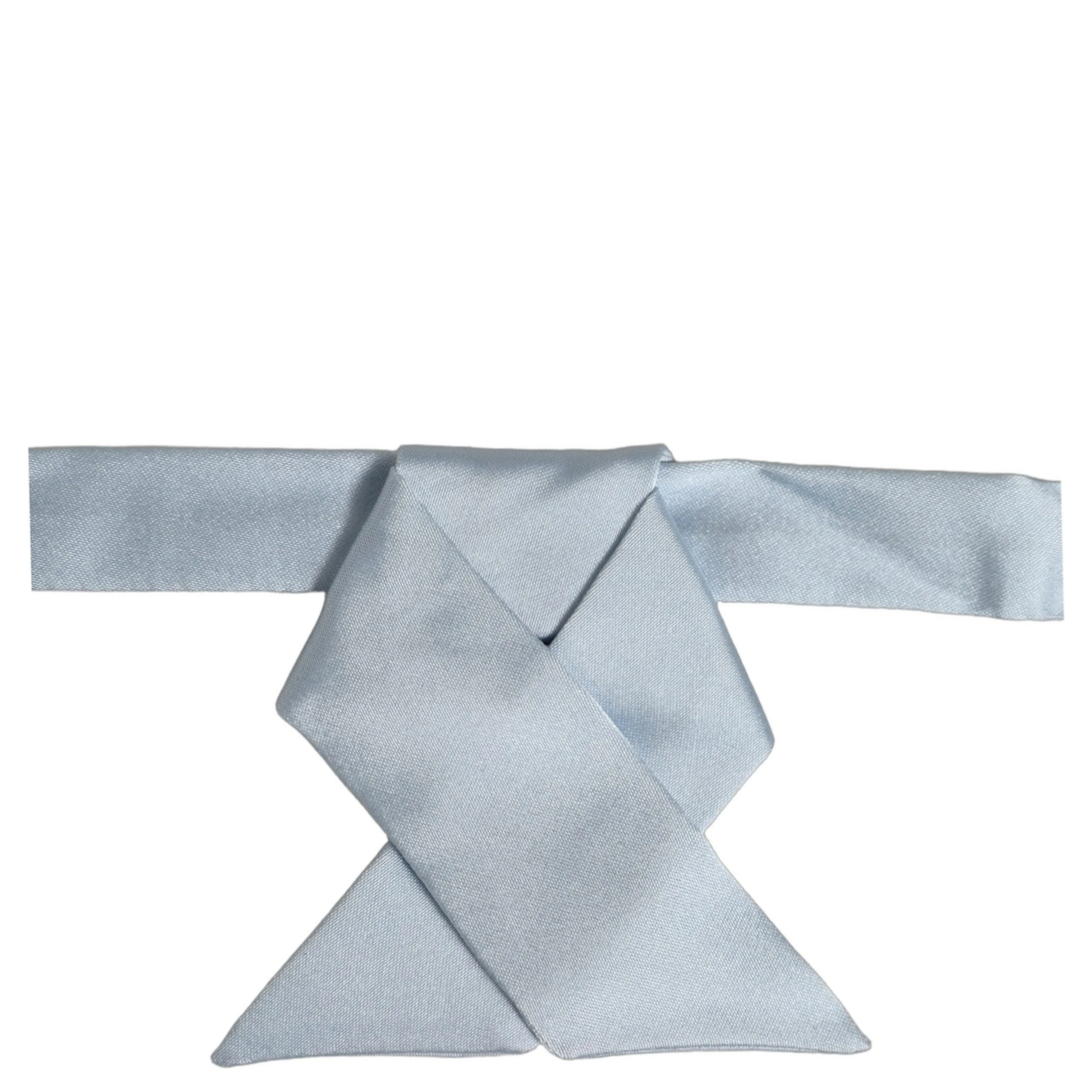 Men Light Blue SIlk Adjustable Neck Papillon Bow Tie
