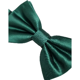 Men Green 100% Silk Adjustable Neck Papillon Bow Tie