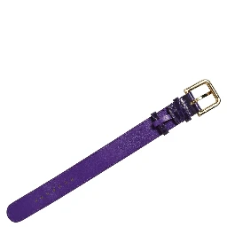 Violet Embossed Leather Gold Buckle Belt Strap Bracelet
