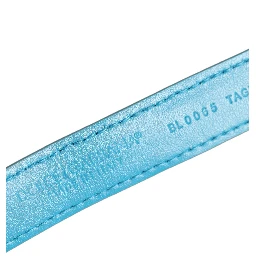 Turquoise Texture Leather Gold Buckle Belt Strap Bracelet