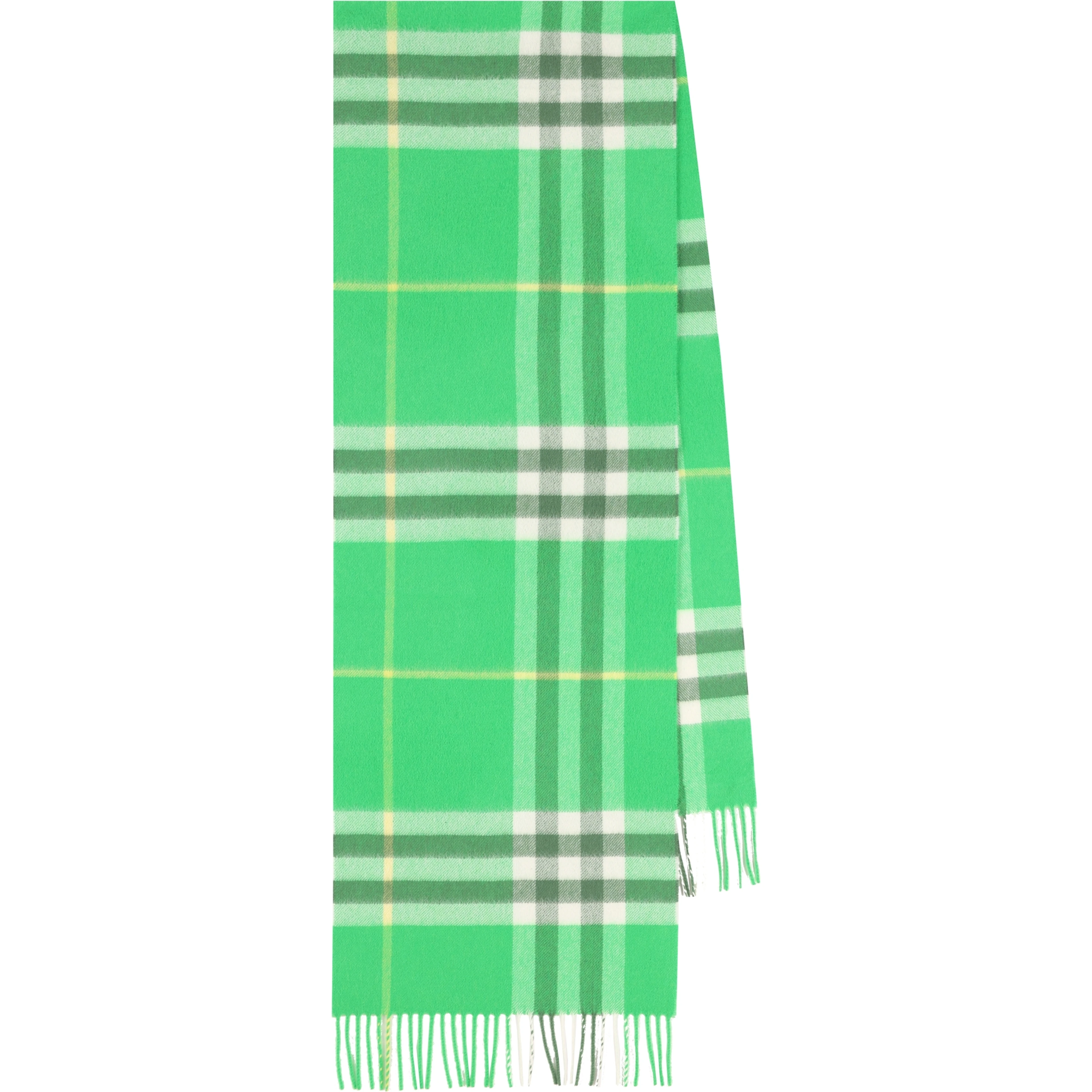 Burberry Scarfs