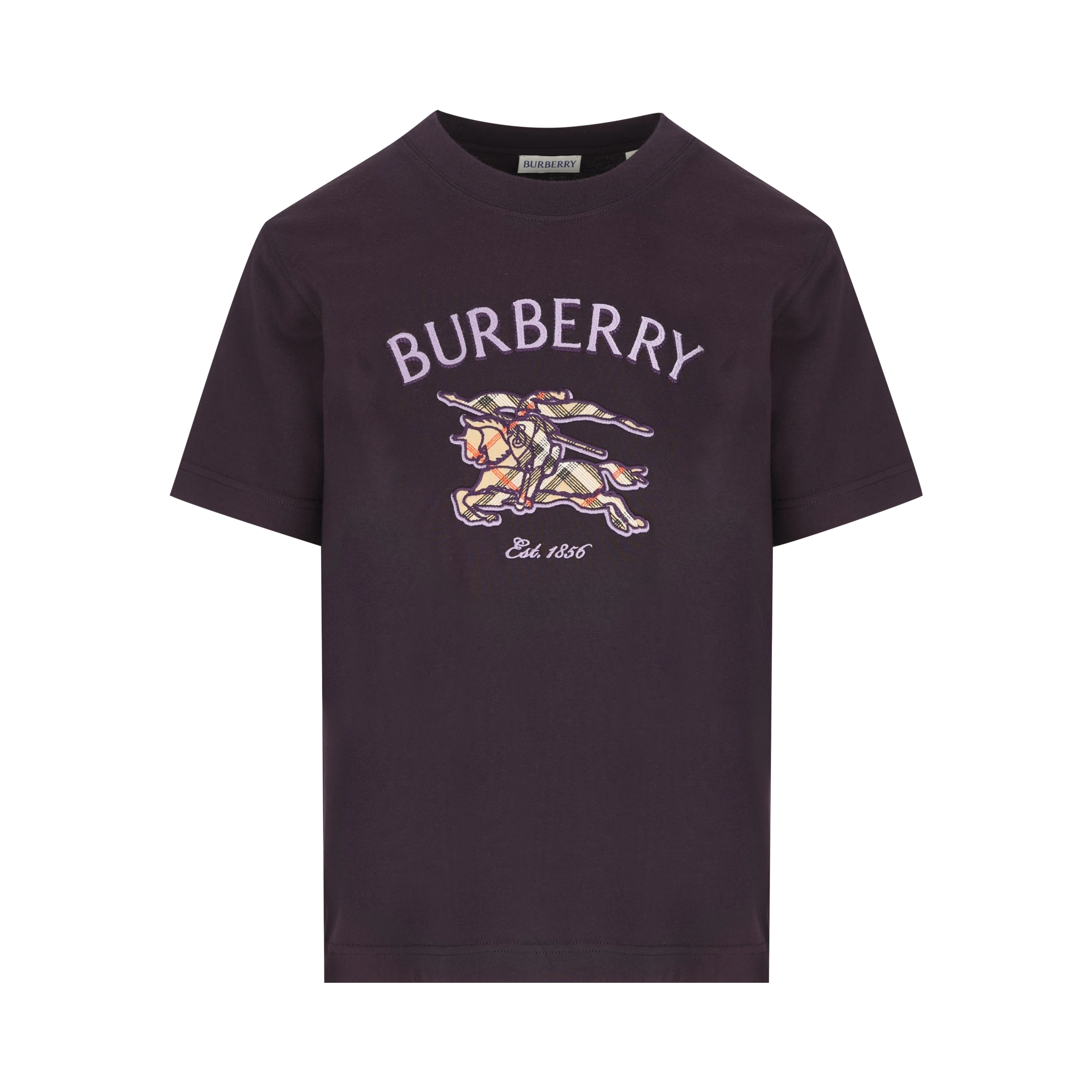 Burberry T-shirts and Polos