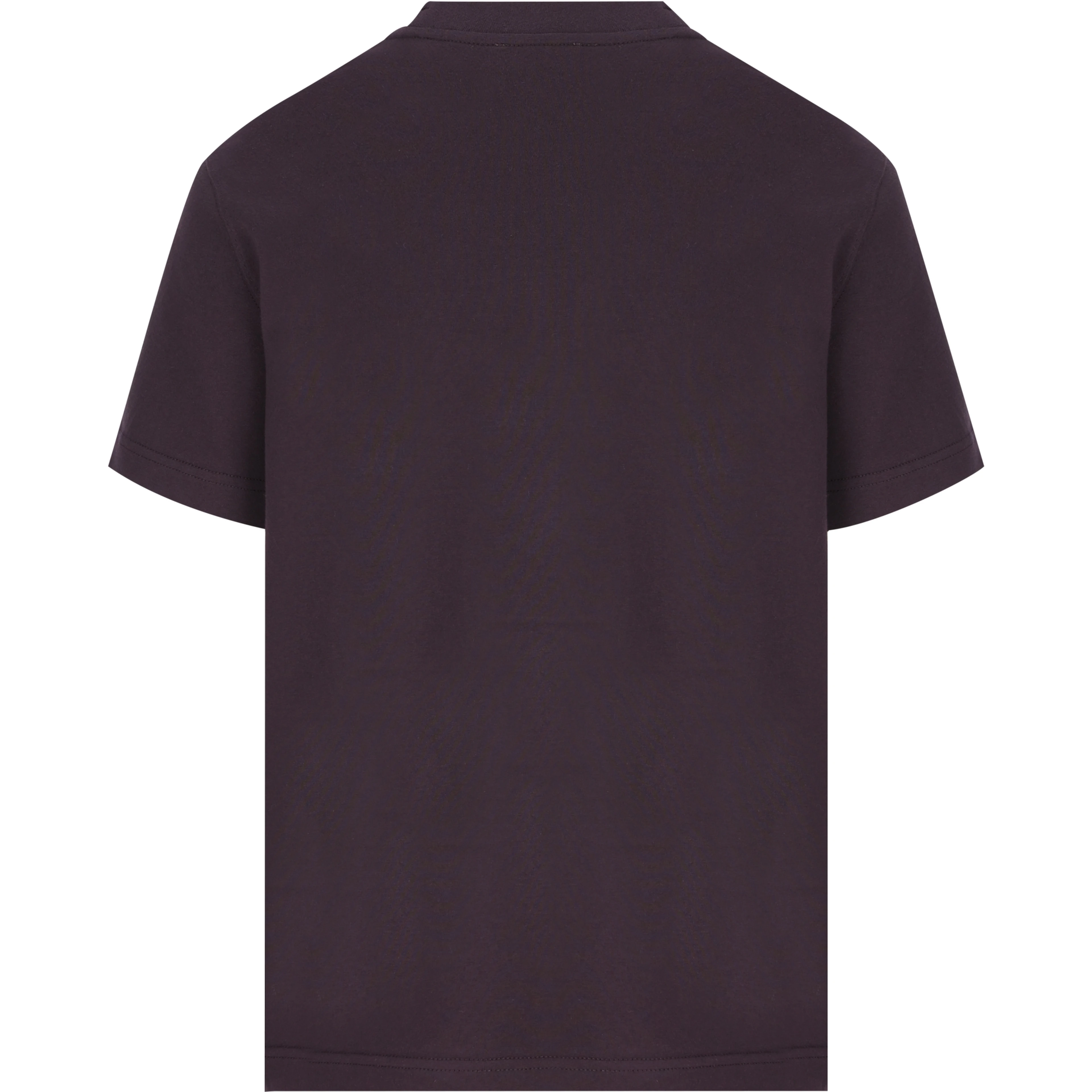 Burberry T-shirts and Polos