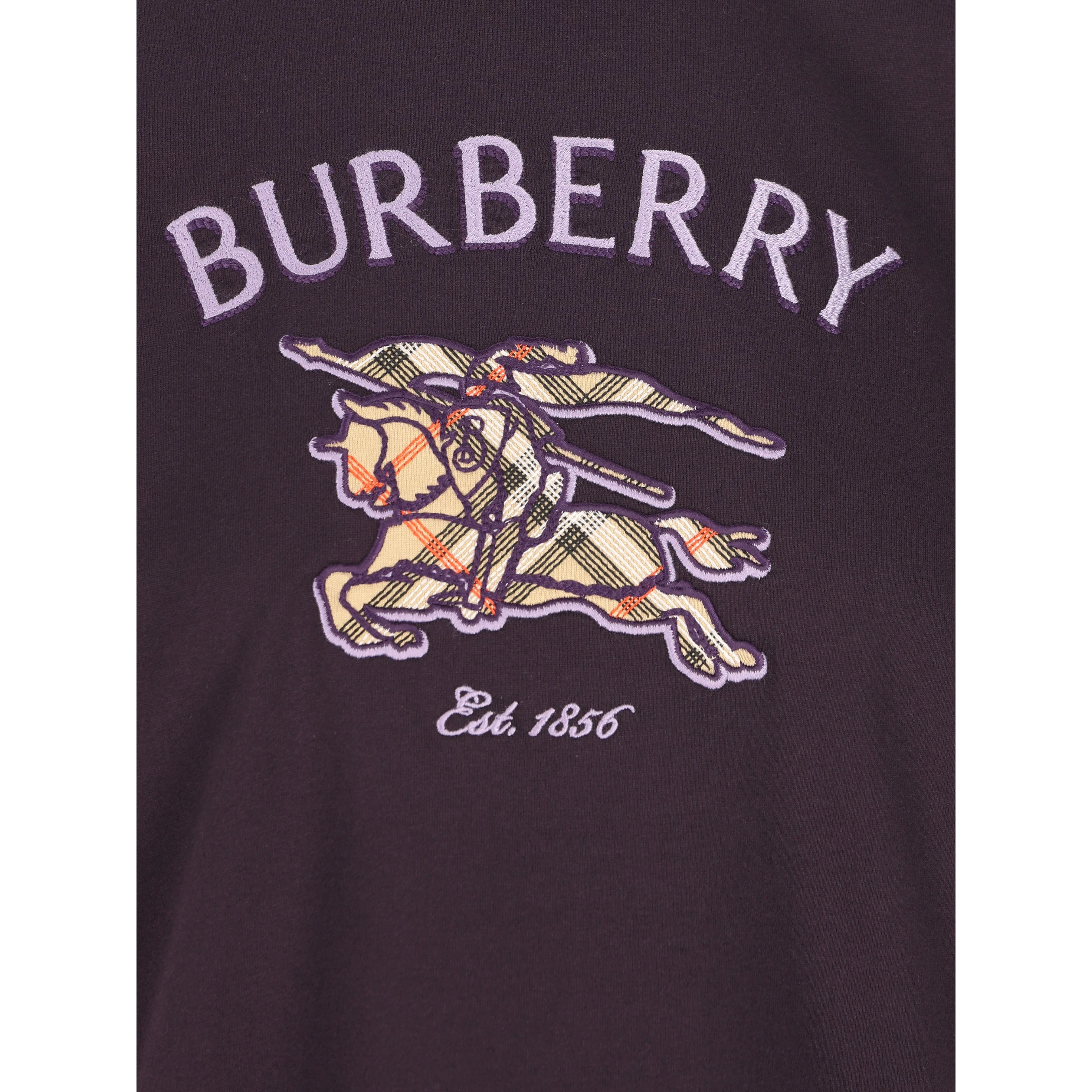 Burberry T-shirts and Polos