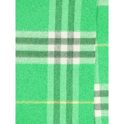 Burberry Scarfs