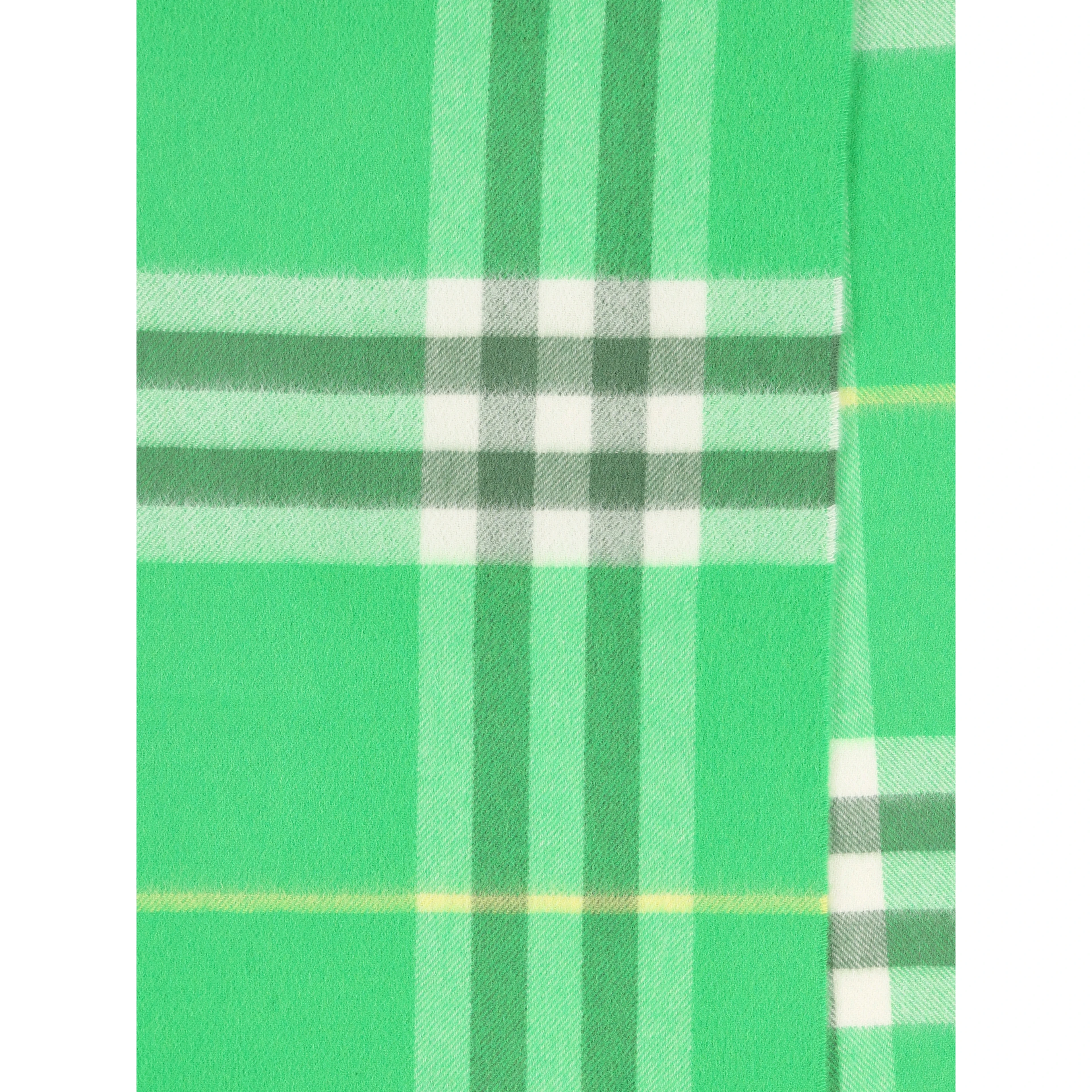 Burberry Scarfs