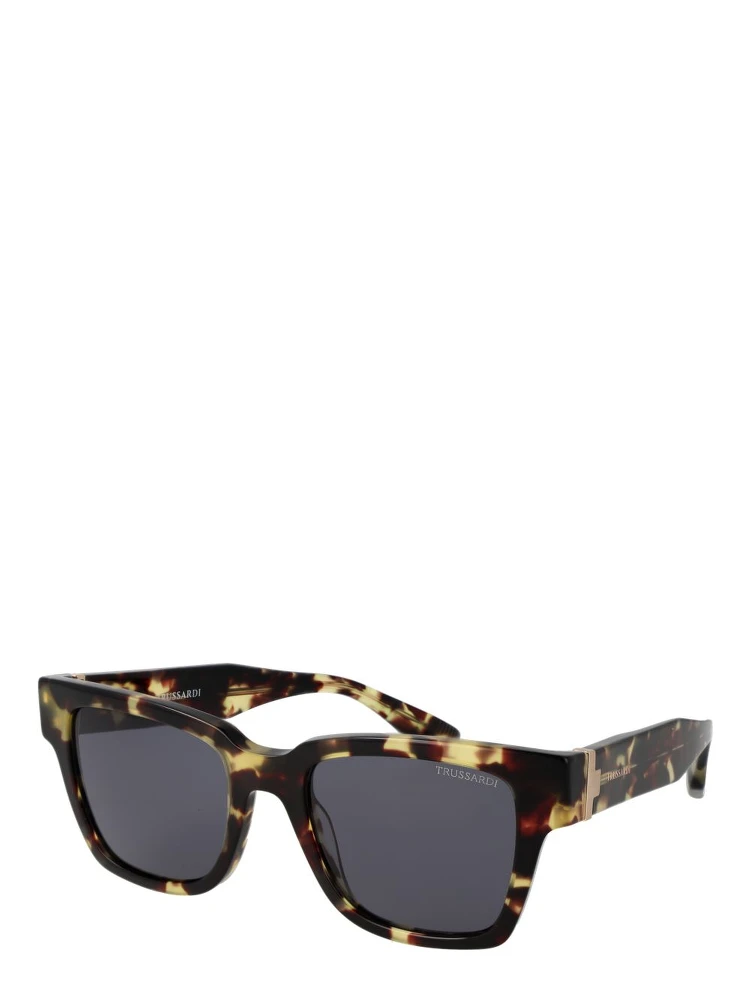Brown Acetate Sunglasses