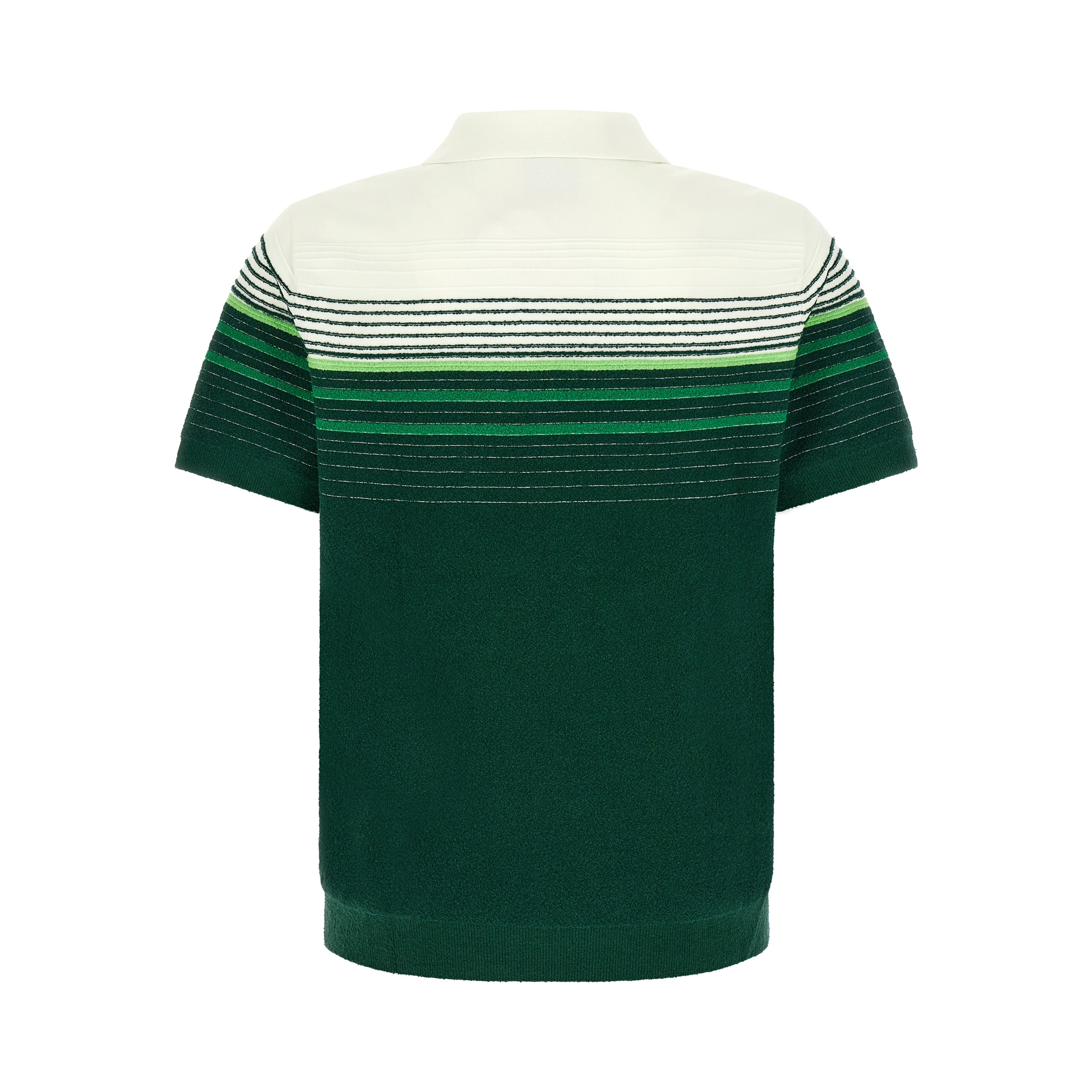 Bicolor Cotton Polo Shirt