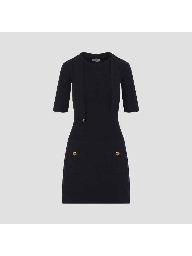 Elisabetta Franchi Knit Dress