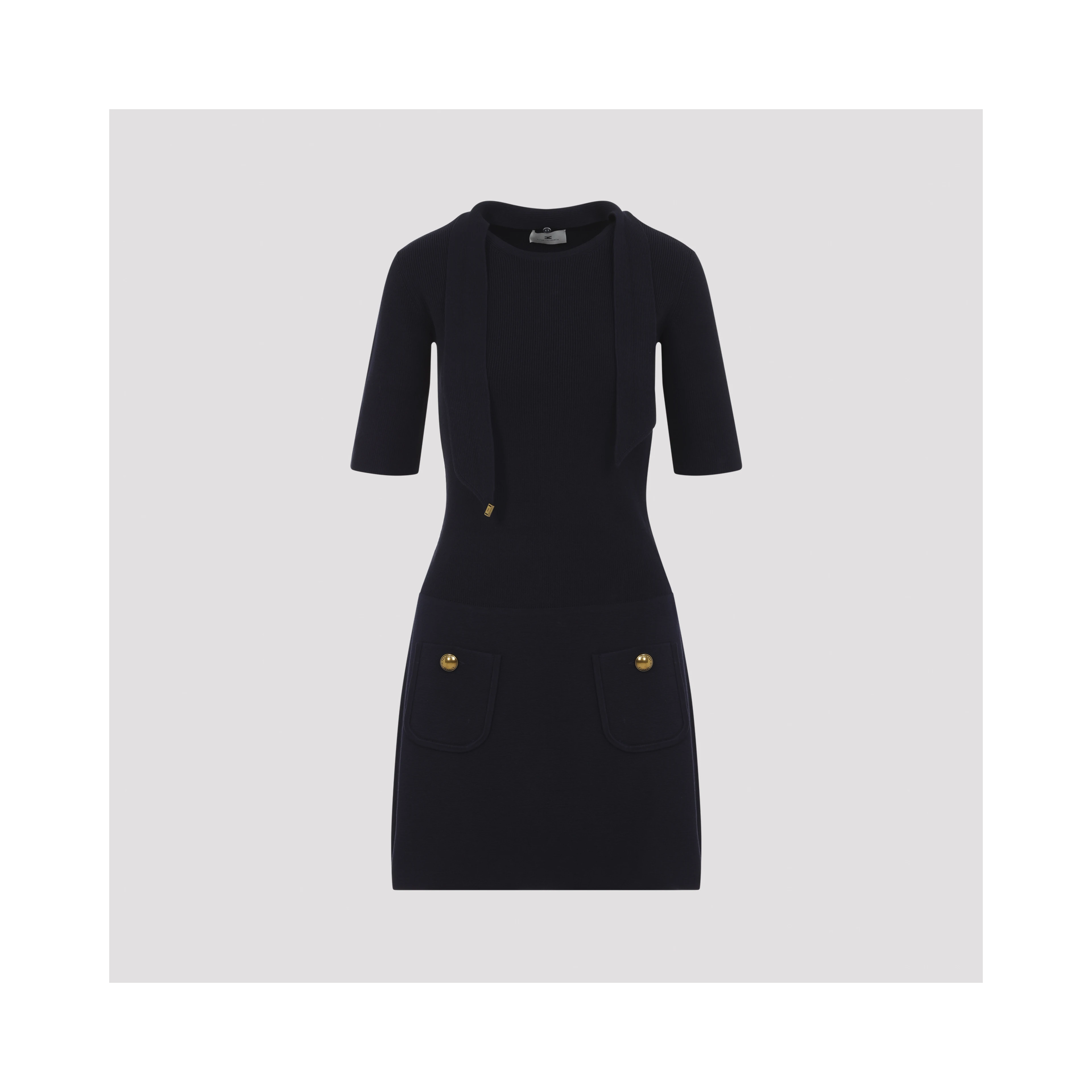 Elisabetta Franchi Knit Dress