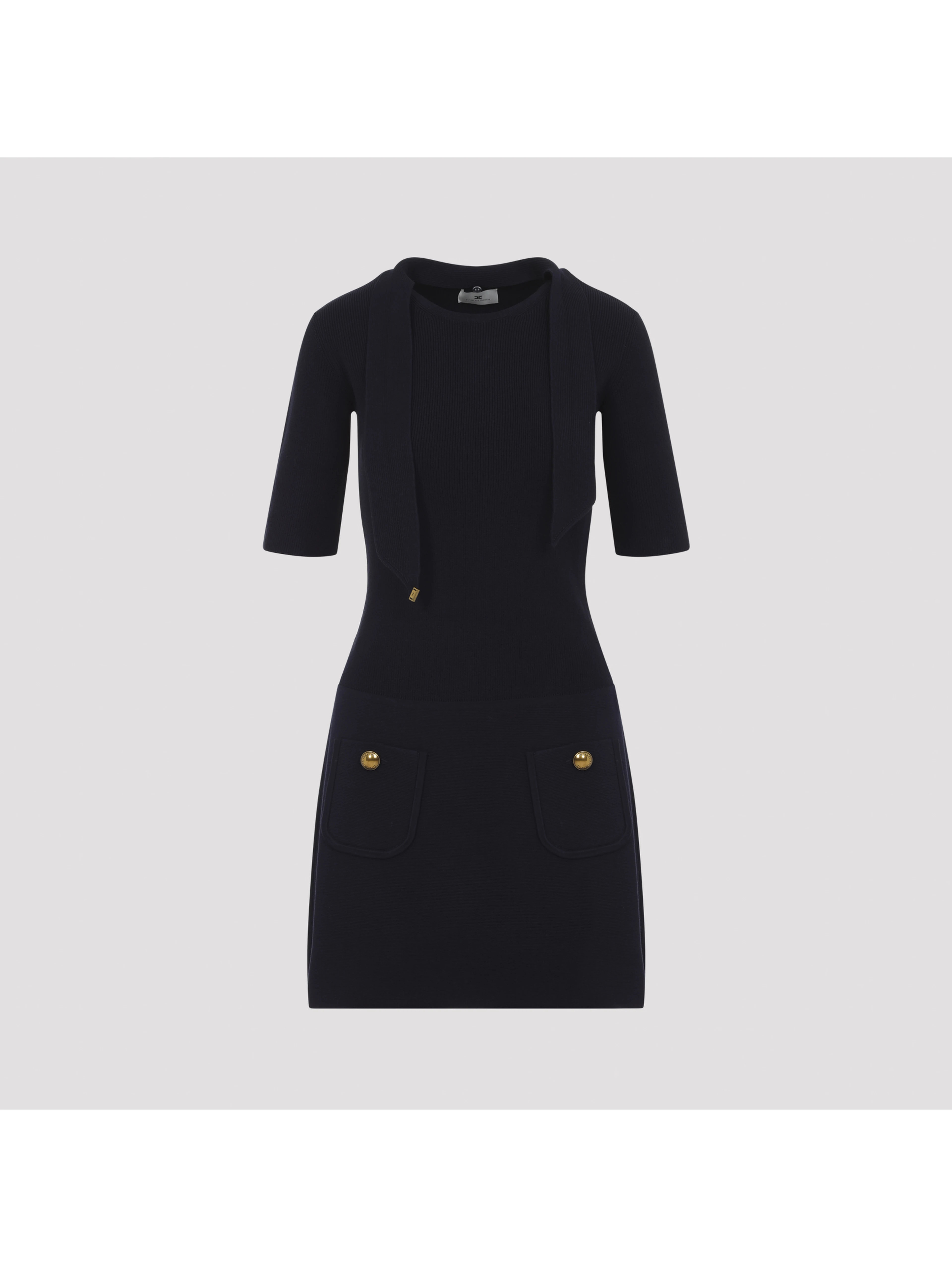 Elisabetta Franchi Knit Dress