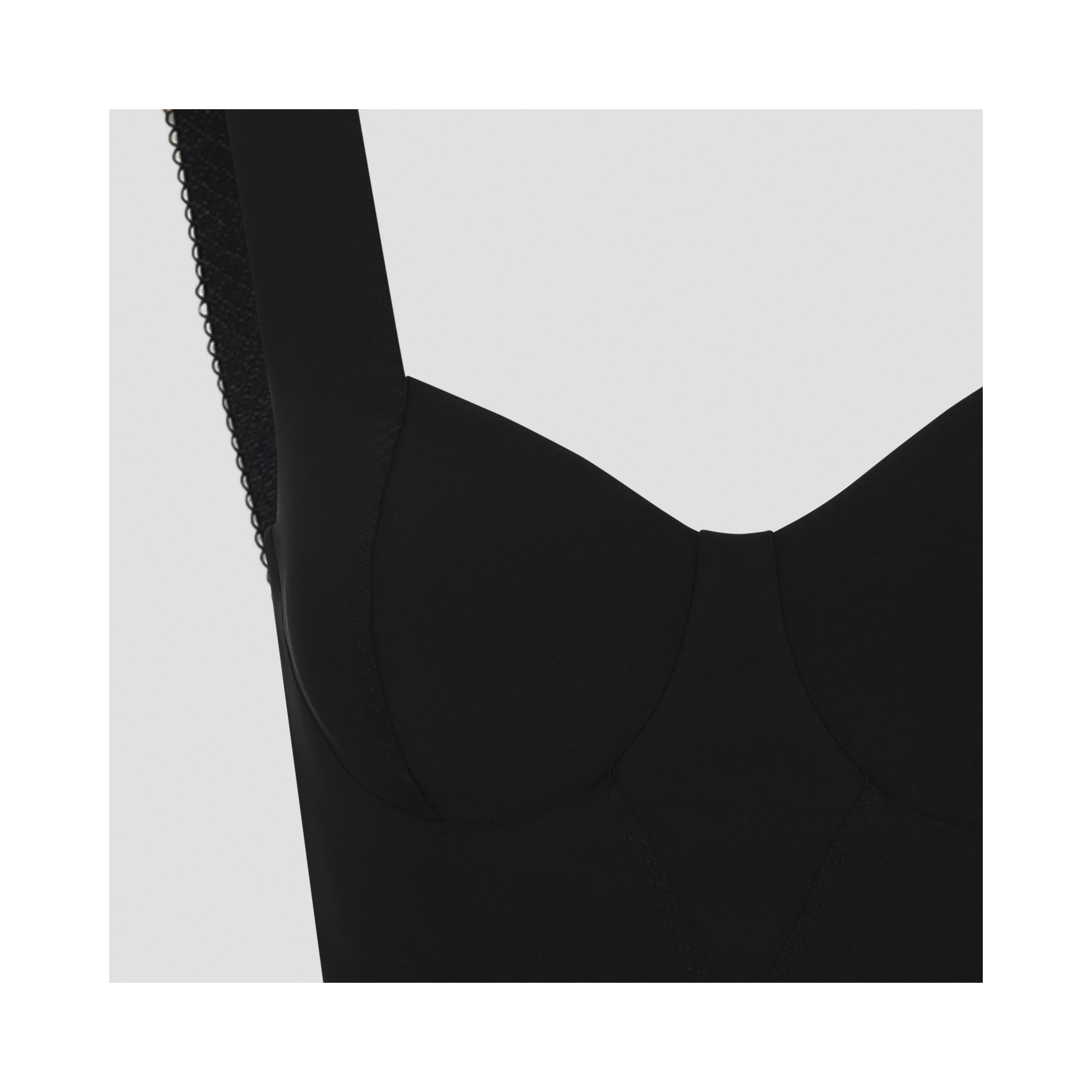 Elisabetta Franchi Lingerie Dress