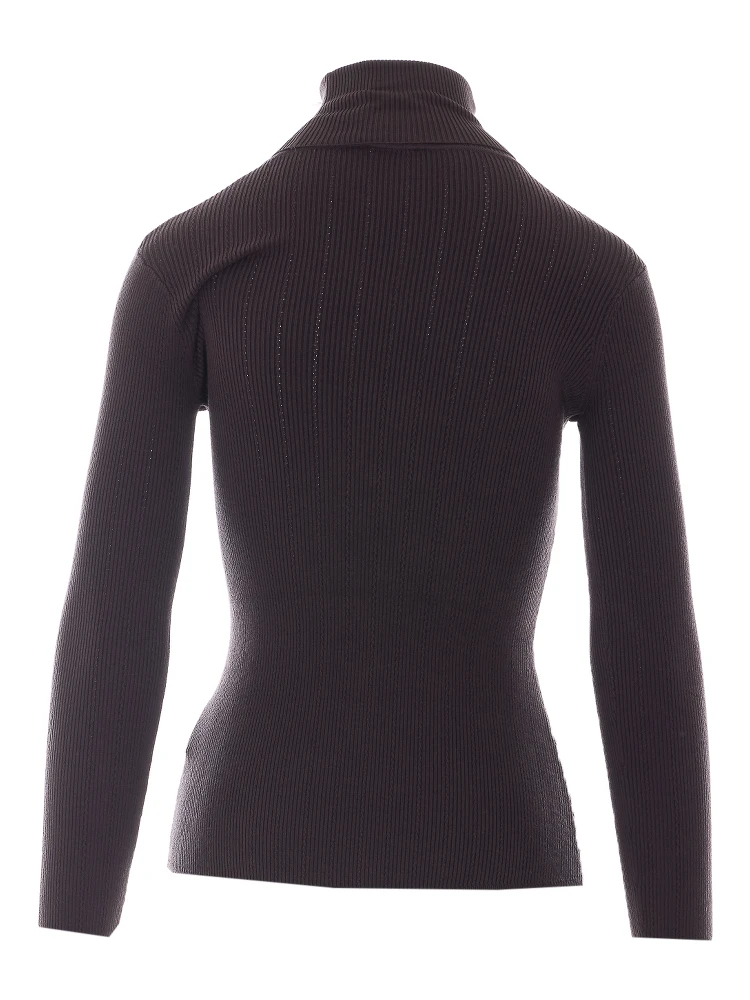 Elisabetta Franchi Sweaters alternative