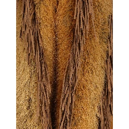UNCOMMON Coats