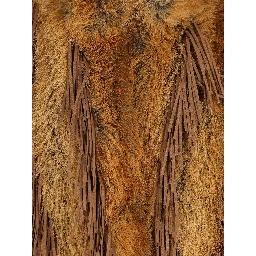 UNCOMMON Jackets