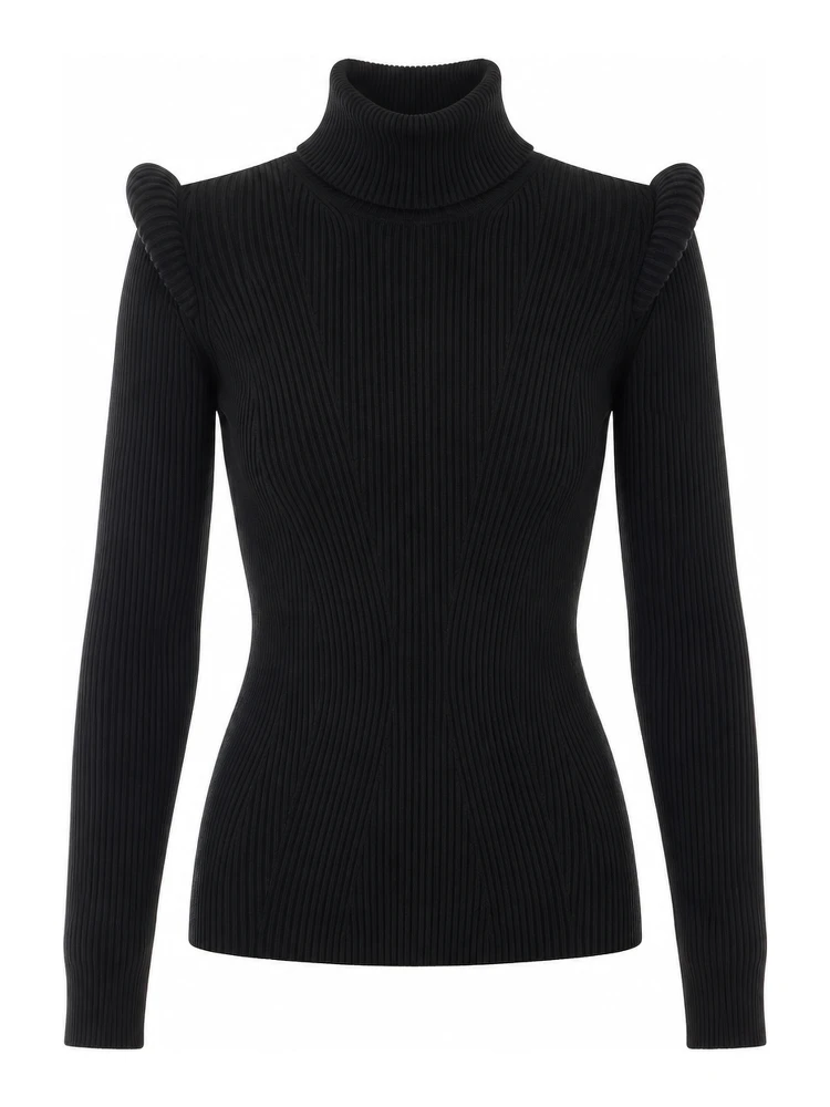 Elisabetta Franchi Sweaters Black