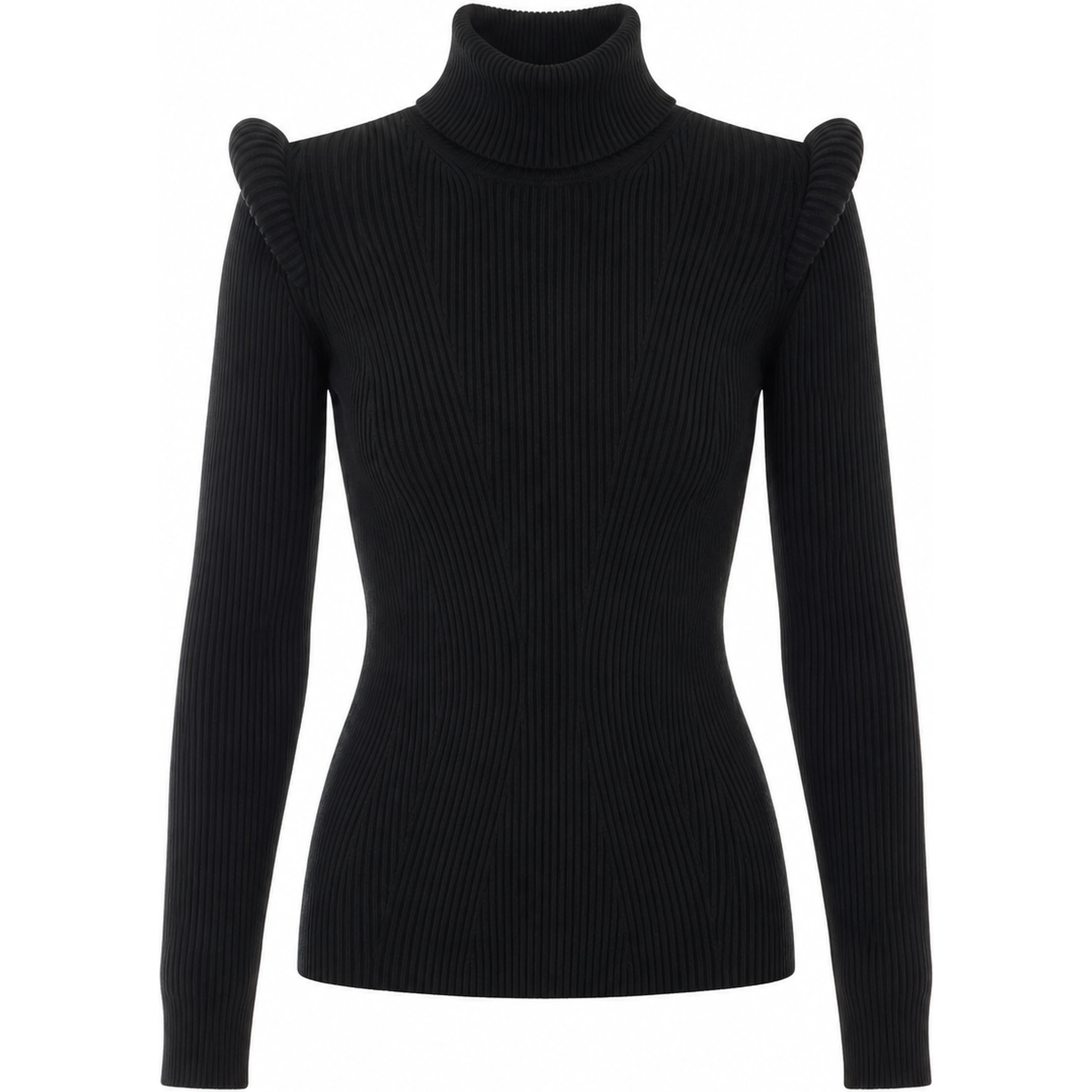 Elisabetta Franchi Sweaters Black