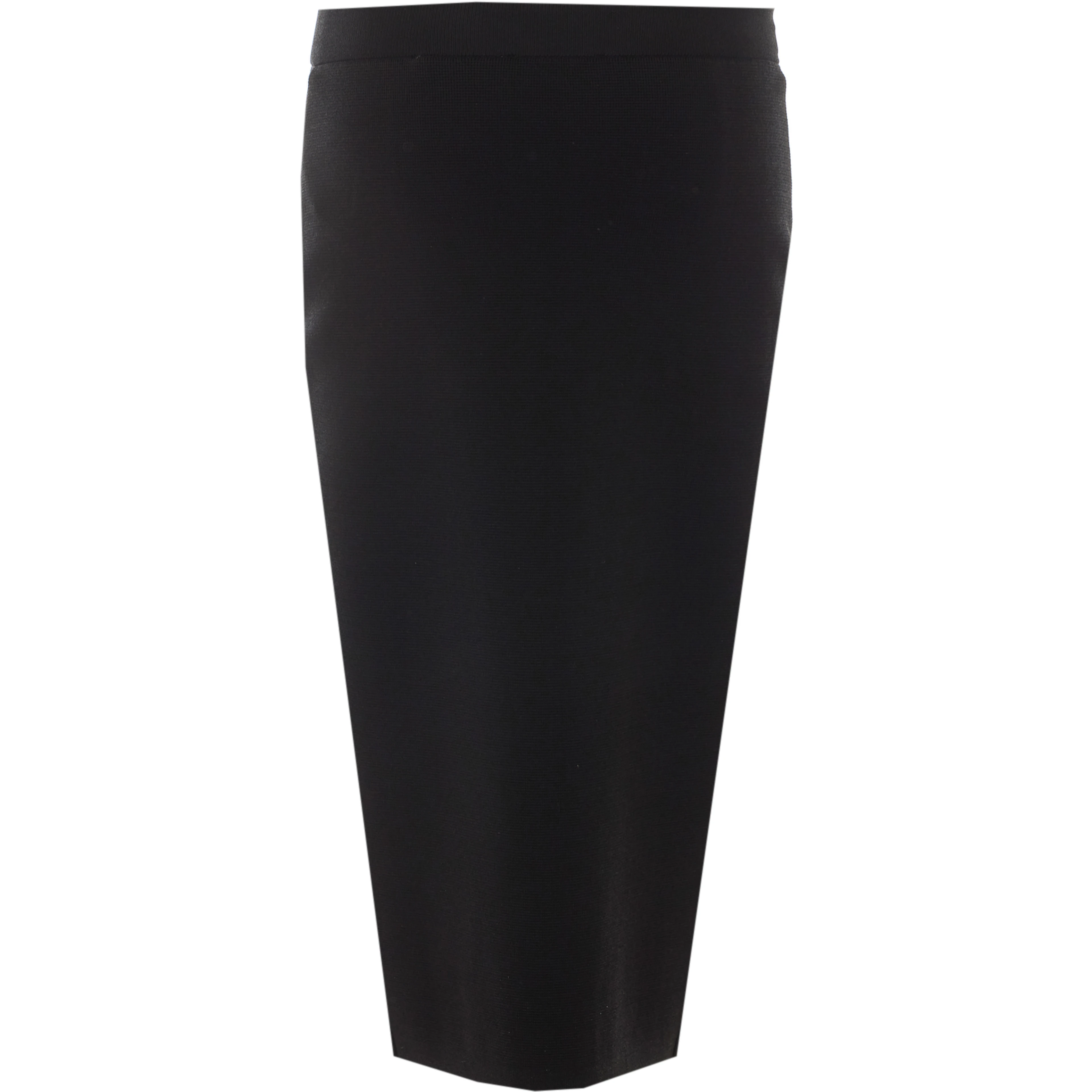 Elisabetta Franchi Skirts Black