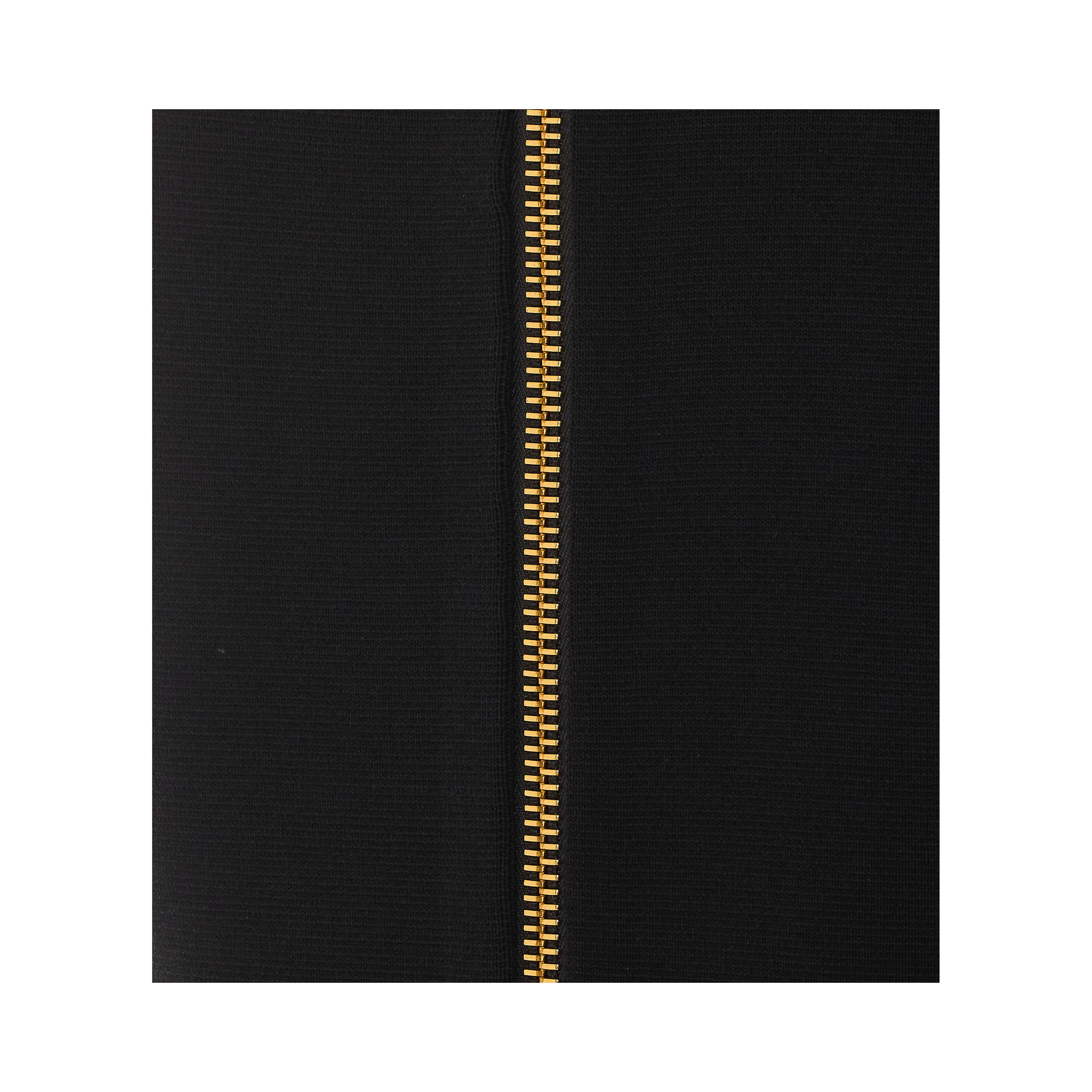 Elisabetta Franchi Skirts Black
